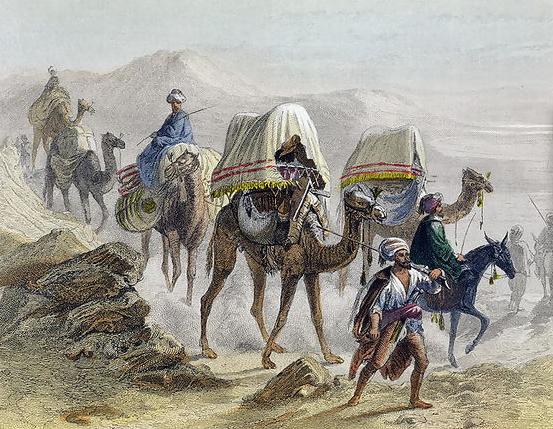 The_Camel_Train