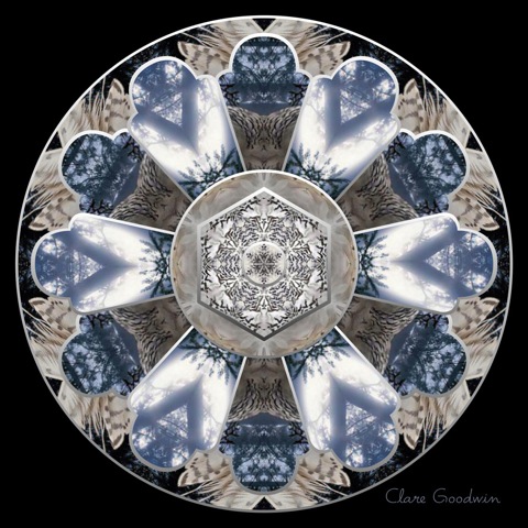 Evangeline's-Owl-3.4.13