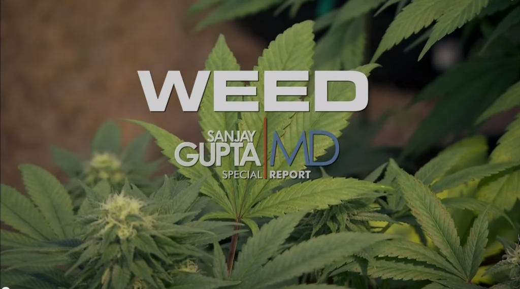 Sanjay gupta weeds 3