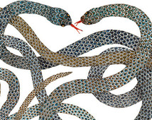 serpents