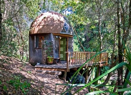 tiny-mushroom-dome-cabin-woods