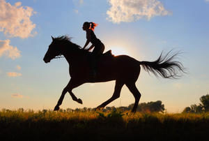 Woman-riding-horse-silhouette