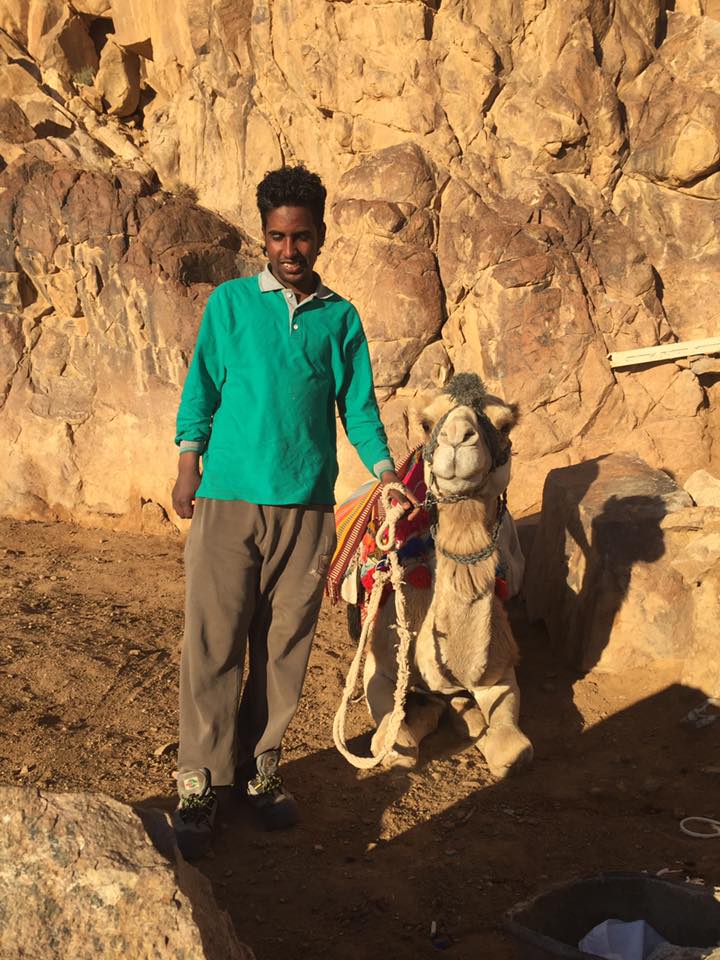 Great ally guides Mohammed & Michael Jackson (camel)
