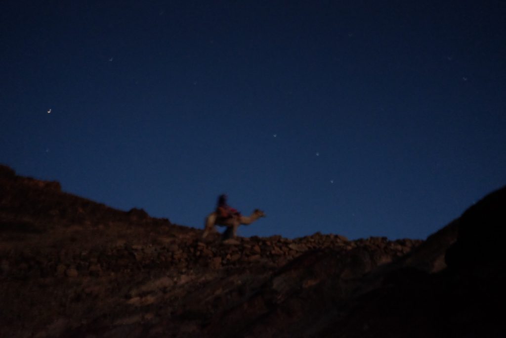 Venus, Camel