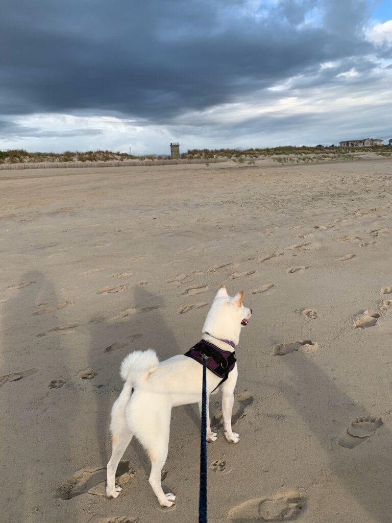 Captain Moon at Beach 